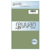 Reyyan İpek Düz Renk Oyalık Yazma reyyan-141 (ada çayı yaprak açık)