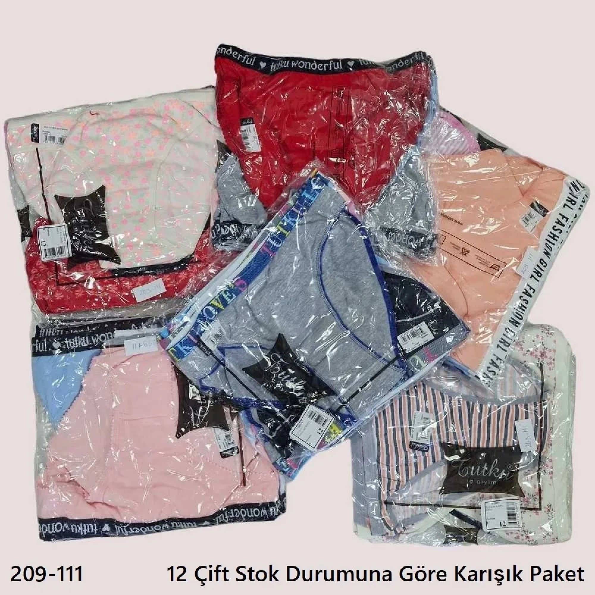 Tutku Bayan Bikini Külot M Beden (12 adet) 209-111