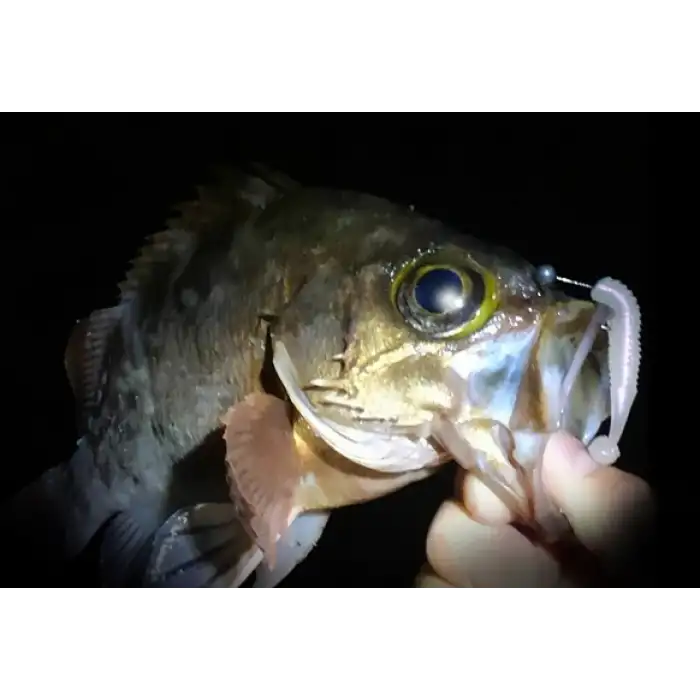 Evergreen DOT TAIL 2.5 Nokta Kuyruklu Light Game Solucan Yem 502 CLEAR RD - (20026502)