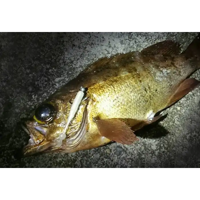 Evergreen DOT TAIL 2.5 Nokta Kuyruklu Light Game Solucan Yem 508 CLEAR PURPLE HS - (20026508)