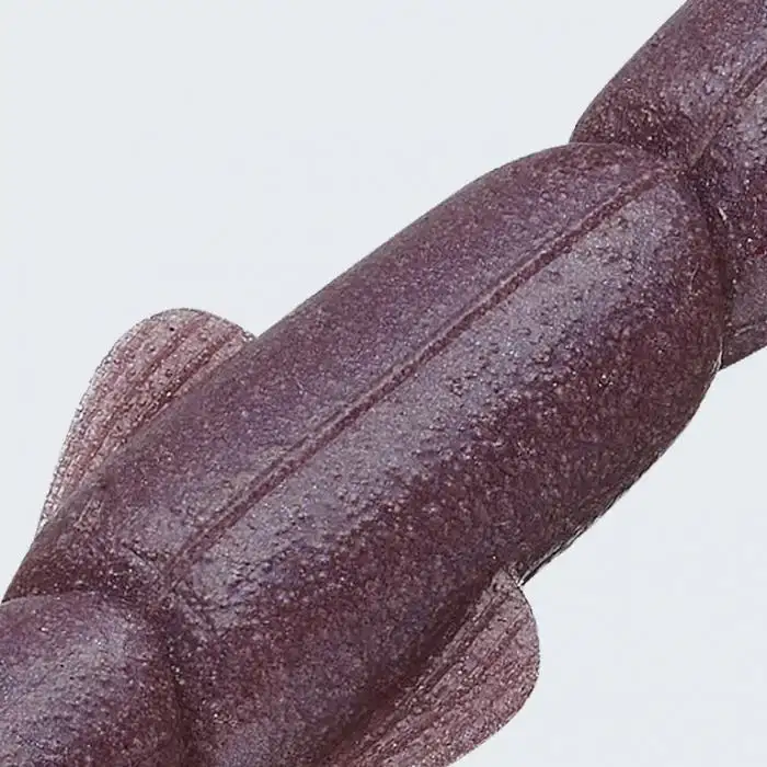 Evergreen I-MACHO 2.8 Kokulu Solucan Yem 126 IMAE AYU - (19902126)