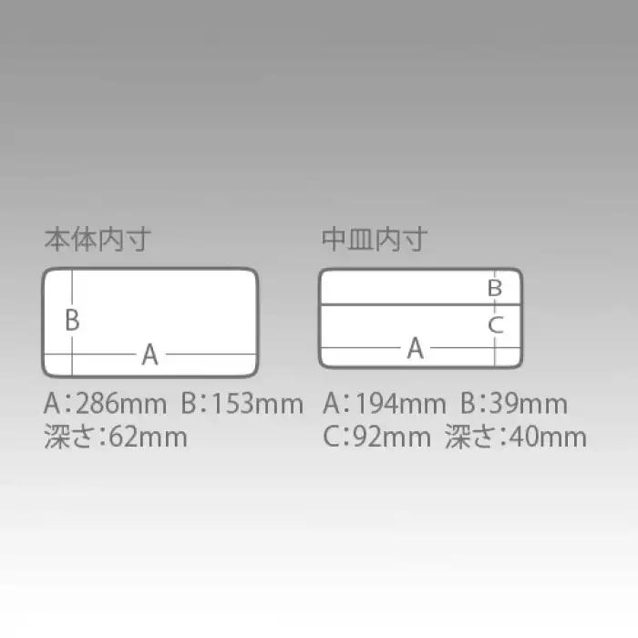 Meiho Novelty Box L Şeffaf Malzeme Kutusu (Mavi Detay)