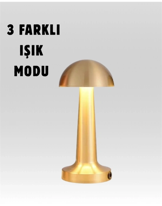 %100 Kademeli Ayarlanabilir Işık – USB Şarjlı Masa Lambası