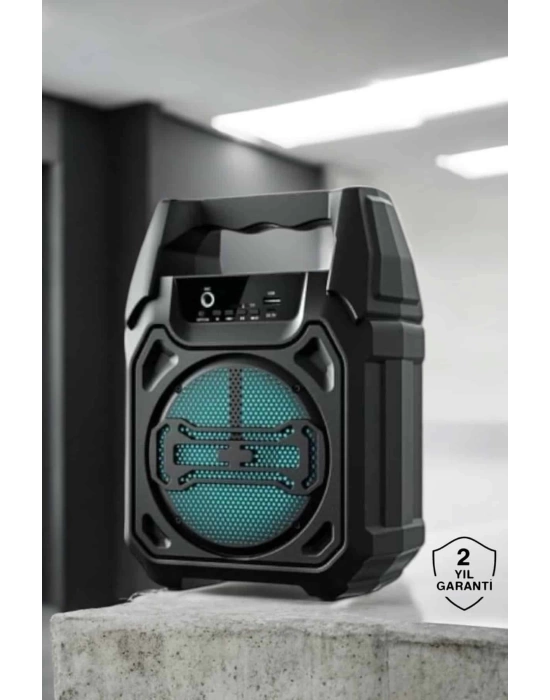 Kablosuz 6.5 İnç TWS Bluetooth Hoparlör