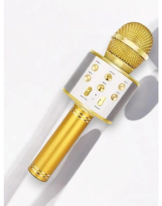 KAREOKE  MIKROFON