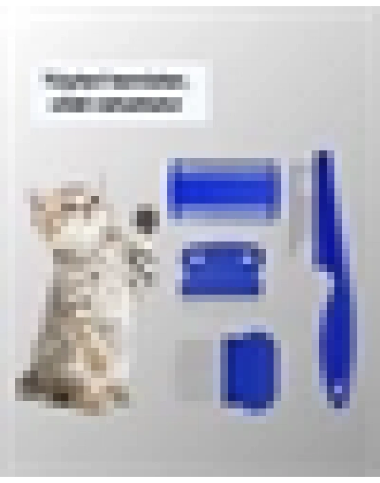 Kedi, Köpek ve Küçük Hayvanlar İçin 4 Parça Ergonomik Tarak Takımı