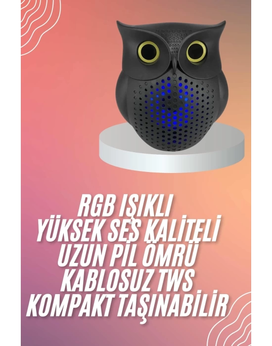 Müzik Çalar Bluetooth Hoparlör Speaker 5.0 Kablosuz Baykuş Görünümlü