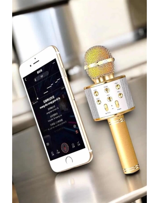 Şarjlı ve Uzun Pil Ömürlü Karaoke Mikrofon USB Bellek Destekli, Profesyonel Ses