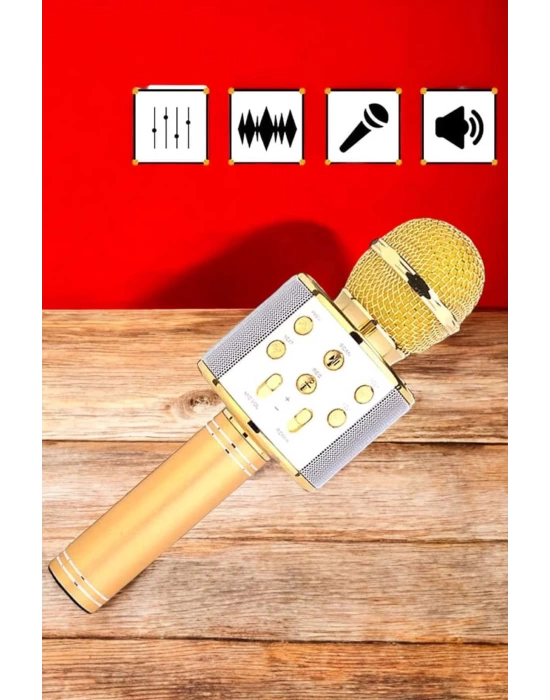 Şarjlı ve Uzun Pil Ömürlü Karaoke Mikrofon USB Bellek Destekli, Profesyonel Ses
