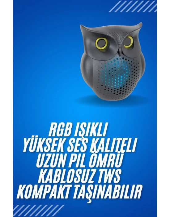 Siyah Bluetooth Hoporlör Baykuş Speaker Bluetooth 5.0 Bağlantılı