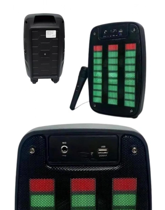 Taşınabilir 6.5 inç LED Bluetooth Kareoke Hoparlör RGB Işıklı Radyolu