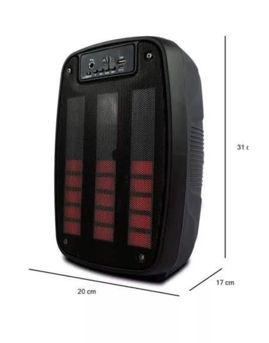 Taşınabilir 6.5 inç LED Bluetooth Kareoke Hoparlör RGB Işıklı Radyolu