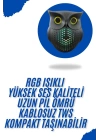 Baykuş Görünümlü Işıklı Bluetooth Speaker Bluetooth Hoparlör