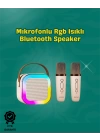 İki Mikrofonlu Renkli LED Işıklı Karaoke Cihazı