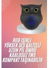 Müzik Çalar Bluetooth Hoparlör Speaker 5.0 Kablosuz Baykuş Görünümlü