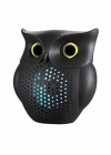 Müzik Çalar Bluetooth Hoparlör Speaker 5.0 Kablosuz Baykuş Görünümlü