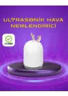 Renkli LED Işıklı ve Sürekli Spreyli Masa Nemlendirici