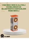 Ritmik LED Işıklı, Güçlü Sesli Taşınabilir Hoparlör