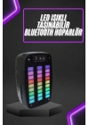 Taşınabilir 6.5 inç LED Bluetooth Kareoke Hoparlör RGB Işıklı Radyolu