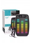 Taşınabilir 6.5 inç LED Bluetooth Kareoke Hoparlör RGB Işıklı Radyolu