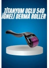 Titanyum Uçlu Derma Roller 540 İğneli 1 mm Gözenek Azaltıcı Akne İzlerine Uygun