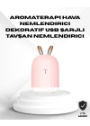 Ultrasonik Hava Nemlendirici 200 ml Aroma Difüzör LED Işıklı Sessiz