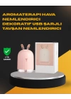 USB Bağlantılı Sessiz Çalışan LED Işıklı Nemlendirici Difüzör 200 ml