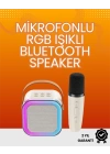 Yüksek Performanslı Kablosuz Karaoke Hoparlör