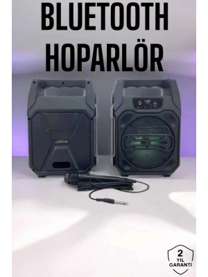6.5 İnç Kablosuz Hoparlör Bluetooth Bağlantılı Yüksek Ses Kaliteli