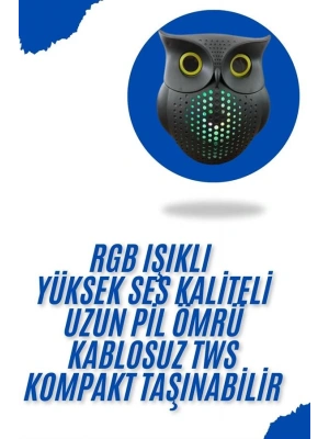 Baykuş Görünümlü Işıklı Bluetooth Speaker Bluetooth Hoparlör