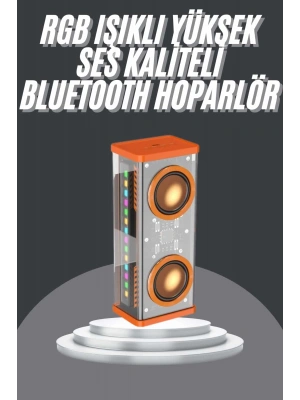 Bluetooth Hoparlör Şeffaf Mecha RGB Işıklı Çift Hoparlör 5.0 Bluetooth