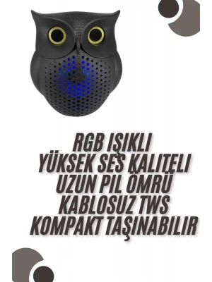 Bluetooth Hoparlör TWS Kablosuz RGB Işıklı Dekoratif Taşınabilir Baykuş