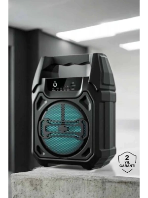 Kablosuz 6.5 İnç TWS Bluetooth Hoparlör