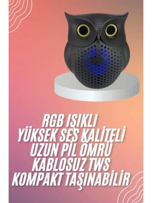 Müzik Çalar Bluetooth Hoparlör Speaker 5.0 Kablosuz Baykuş Görünümlü