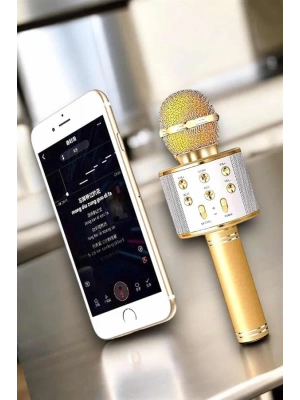 Şarjlı ve Uzun Pil Ömürlü Karaoke Mikrofon USB Bellek Destekli, Profesyonel Ses