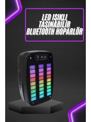 Taşınabilir 6.5 inç LED Bluetooth Kareoke Hoparlör RGB Işıklı Radyolu