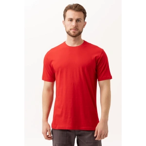 Galanthus O Yaka T-shirt - Pamuklu, Nefes Alabilir, Klasik Ve Rahat Kesim