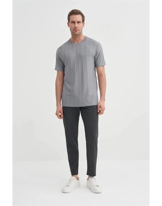 4203 Viskon Kumaş Bisiklet Yaka Regular Fit Erkek T-Shirt GRİ