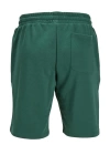 Jogger Fıt Rahat Kesım Şort