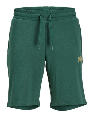 Jogger Fıt Rahat Kesım Şort