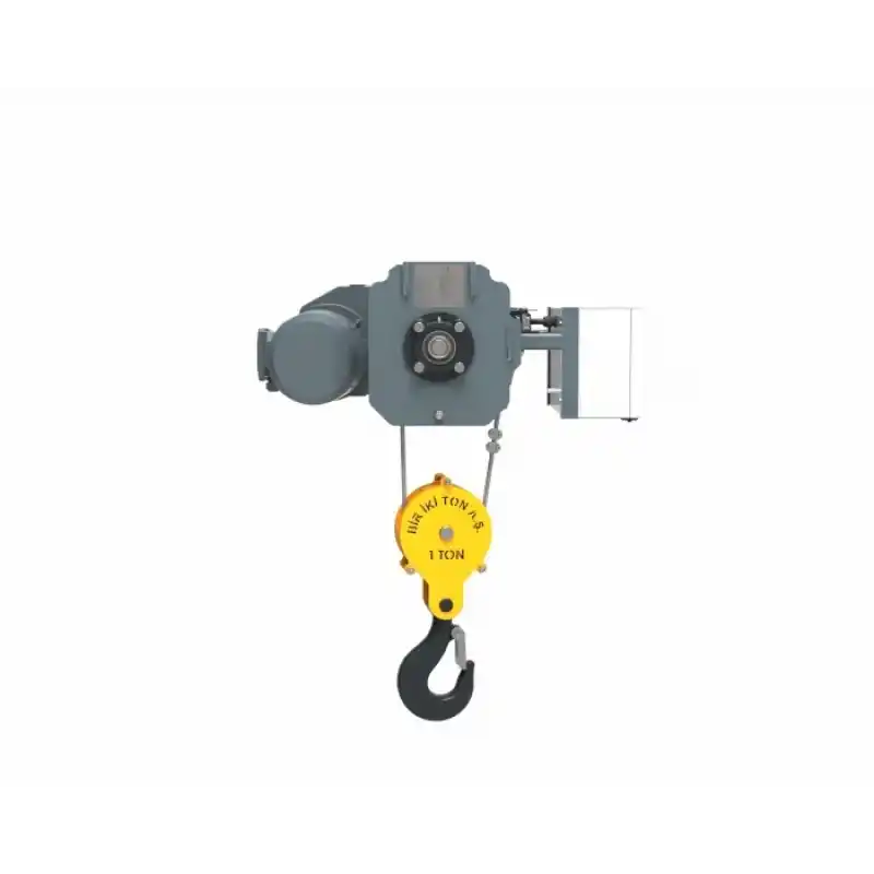 Birikiton 1000 KG 2 Hareketli Sabit Kaldırma Makinesi FEM / ISO 2m/M5