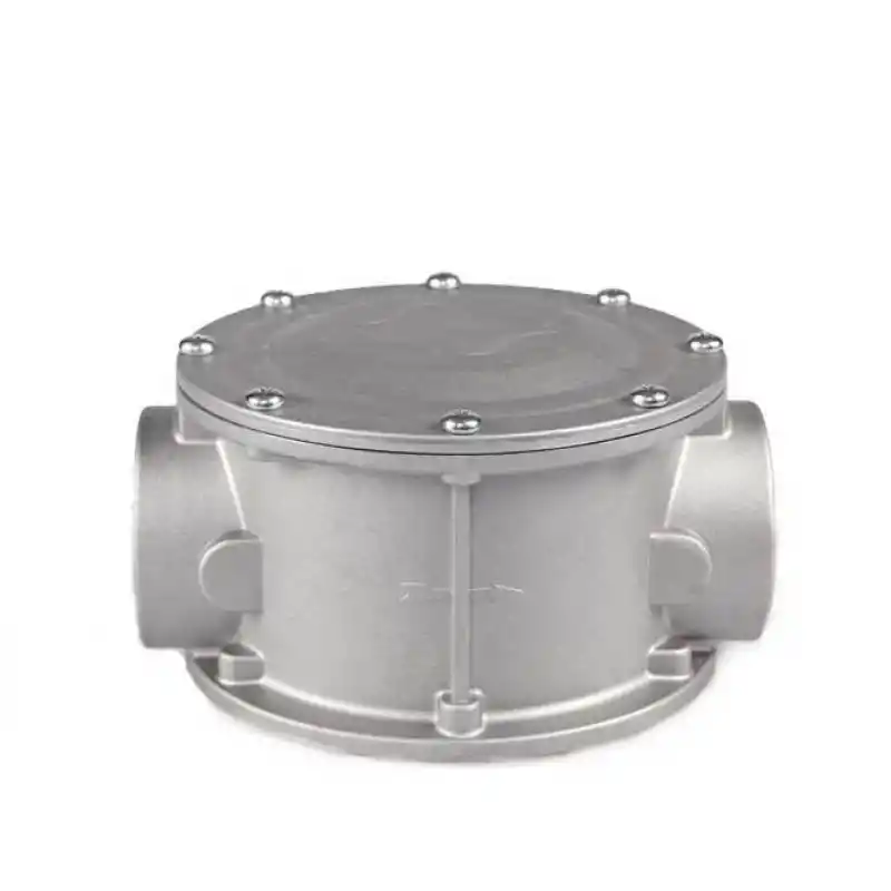 Eska 1 EGF Serisi Gaz Filtresi