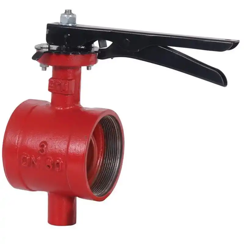 ETM DN65 Döküm Gövdeli İçten Dişli Kelebek Vana 2 1/2