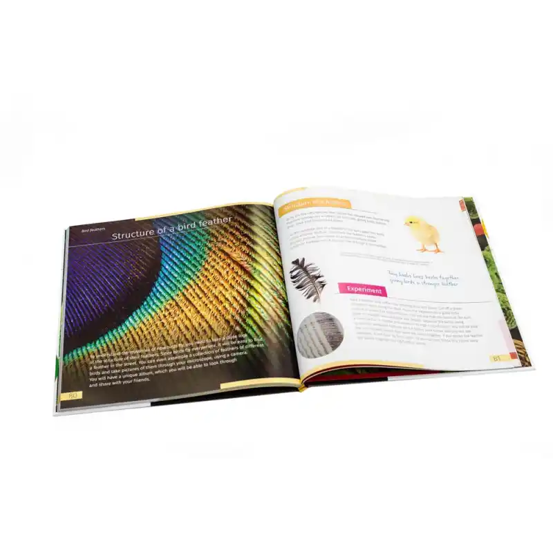 Görünmez Dünya. Bilgilendirici kitap. Ciltli kapak