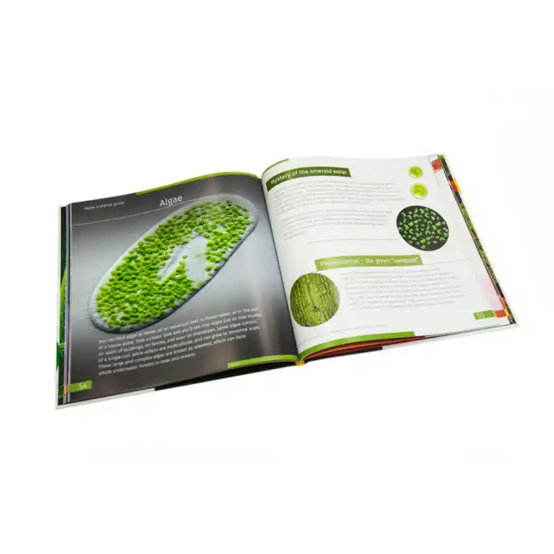 Görünmez Dünya. Bilgilendirici kitap. Ciltli kapak