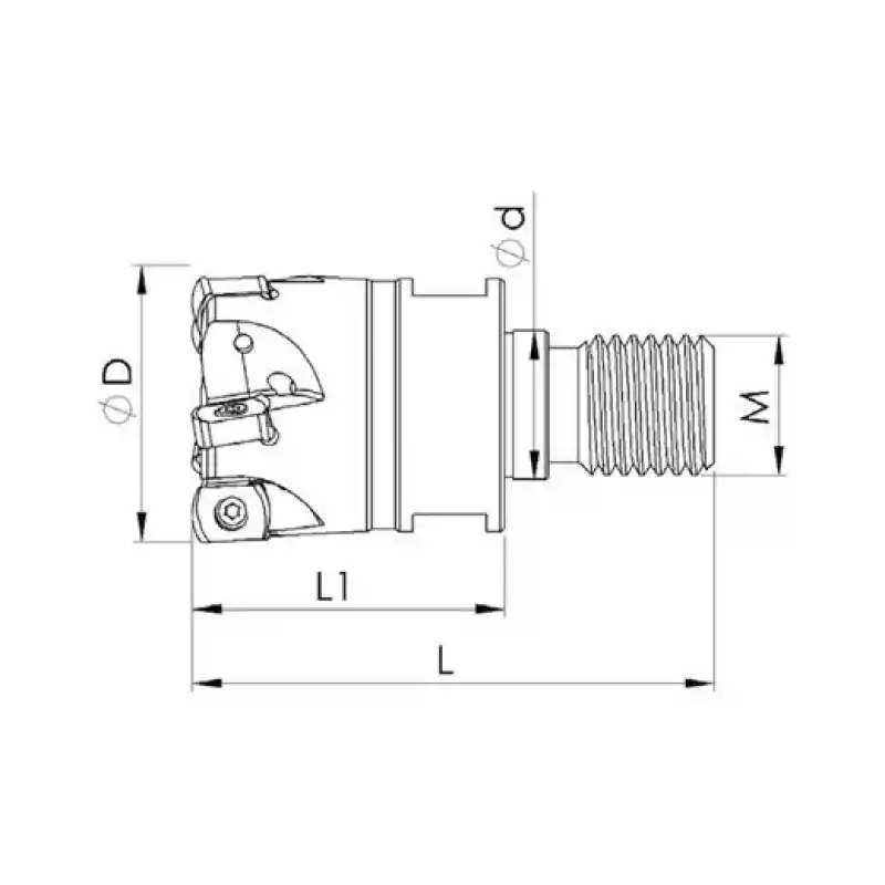 Heikenei VT 25x4 M12 BLMP 0603 Vidalı Tarama Başlığı (High Feed) TT