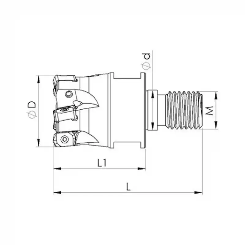 Heikenei VT 25x4 M12 BNGX 10T3 Vidalı Tarama Başlığı (High Feed) PRMT