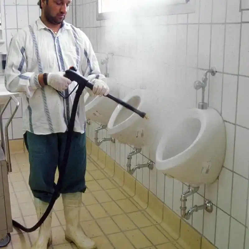 Lavor Gv Etna 4000 Endüstriyel Vakumlu Buharlı Temizlik Makinesi