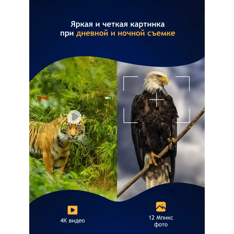 Levenhuk Halo 13X Helmet Dijital Gece Görüş Binoküler Dürbünü