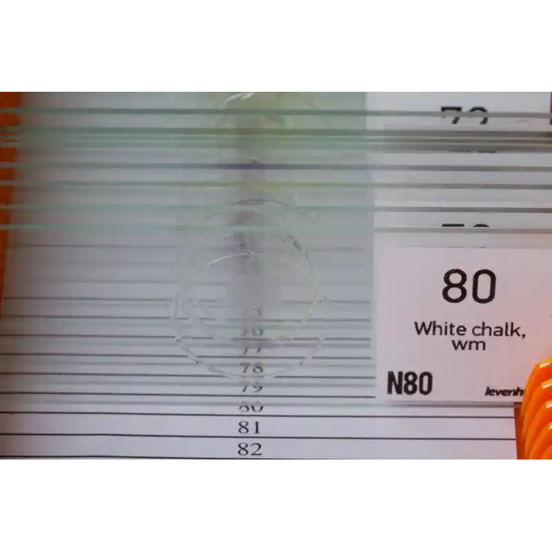 Levenhuk N80 NG “Her şeyi görün” Slayt Seti